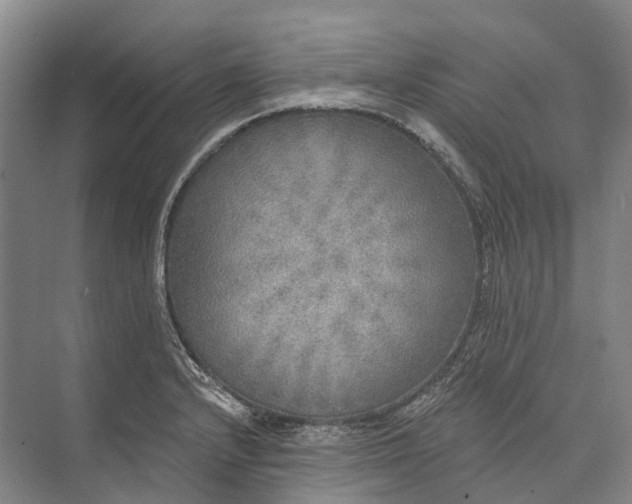 X0000072931232200608041207