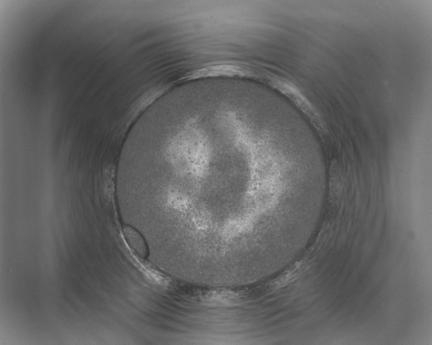 X0000072931233200608041207