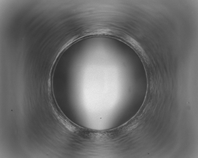 X0000072931234200608041207