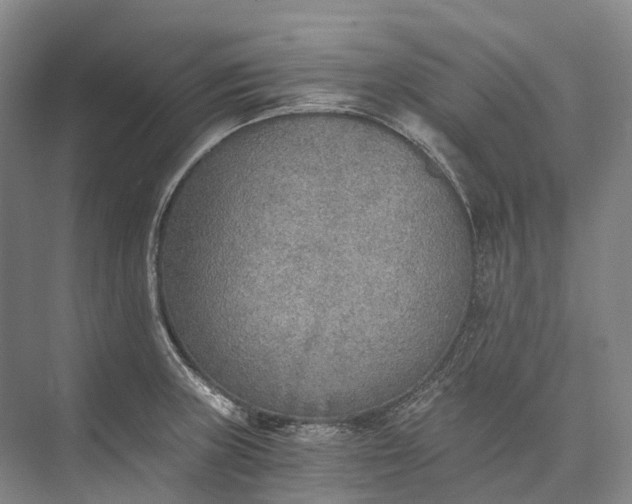 X0000072931235200608041207