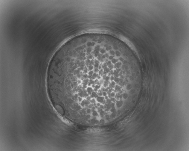 X0000072931237200608041207