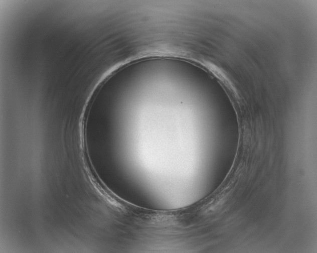 X0000072931238200608041207