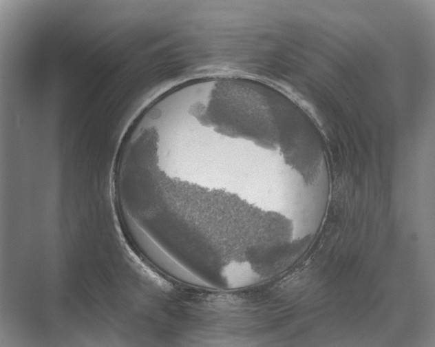 X0000072931239200608041207