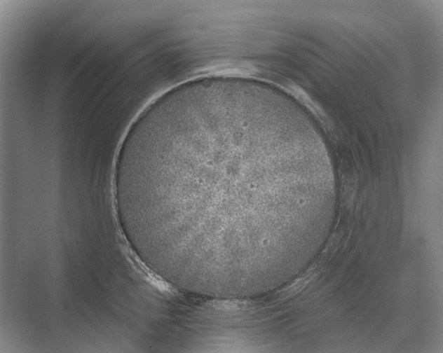 X0000072931240200608041208