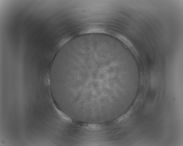 X0000072931241200608041208