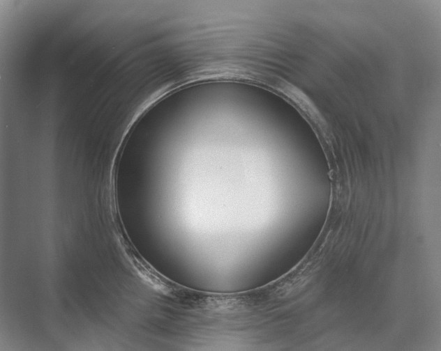 X0000072931242200608041208