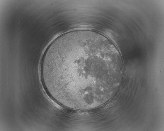 X0000072931243200608041208