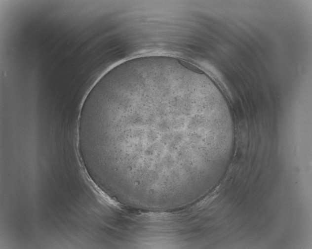 X0000072931244200608041208