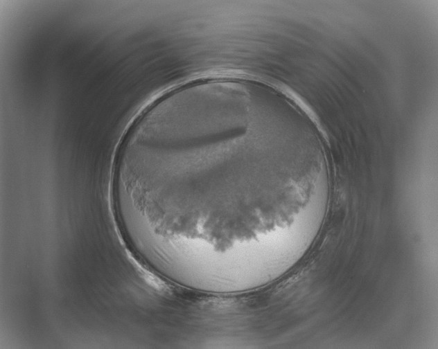 X0000072931245200608041208