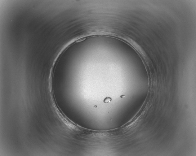 X0000072931246200608041208