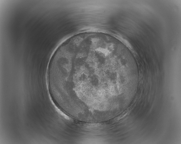 X0000072931247200608041208