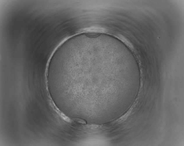 X0000072931248200608041208