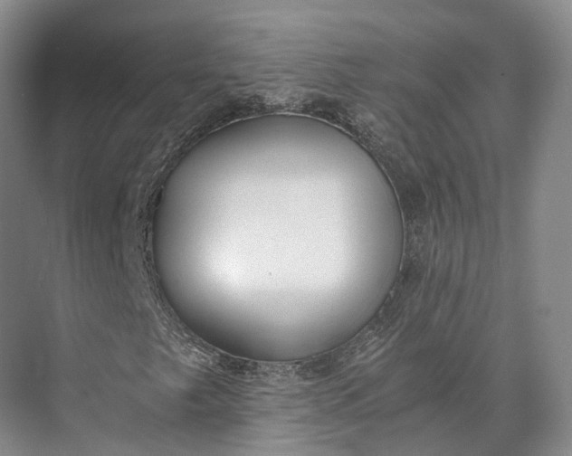 X0000072931249200608041207