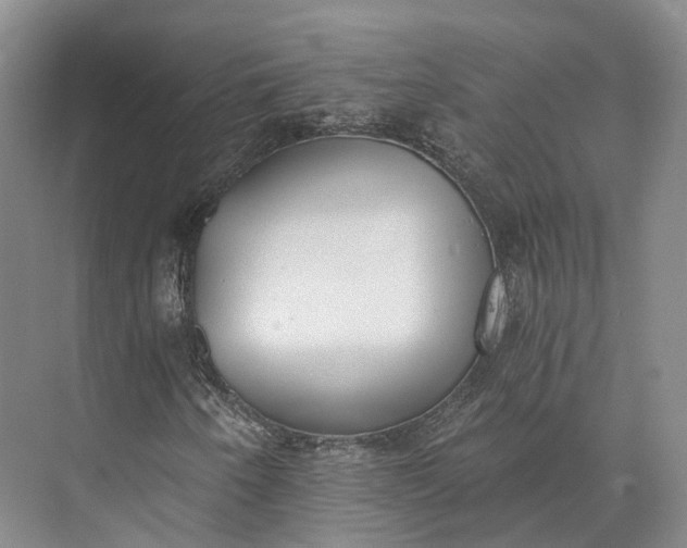 X0000072931250200608041207