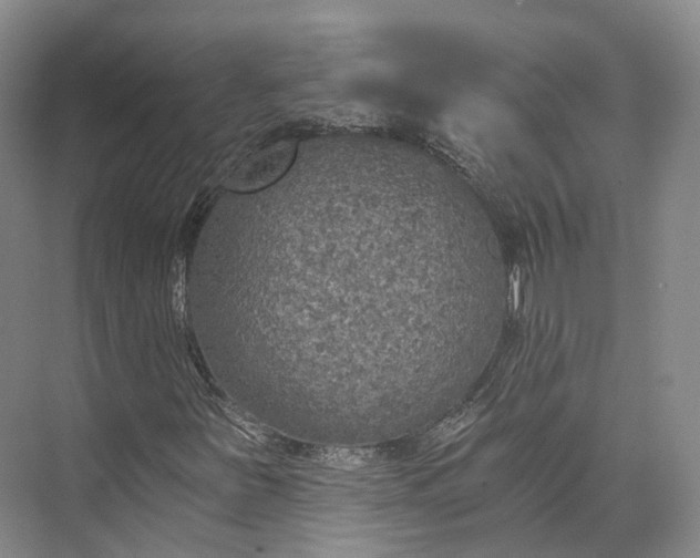 X0000072931251200608041207