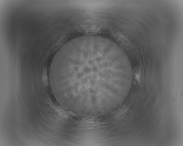 X0000072931252200608041207