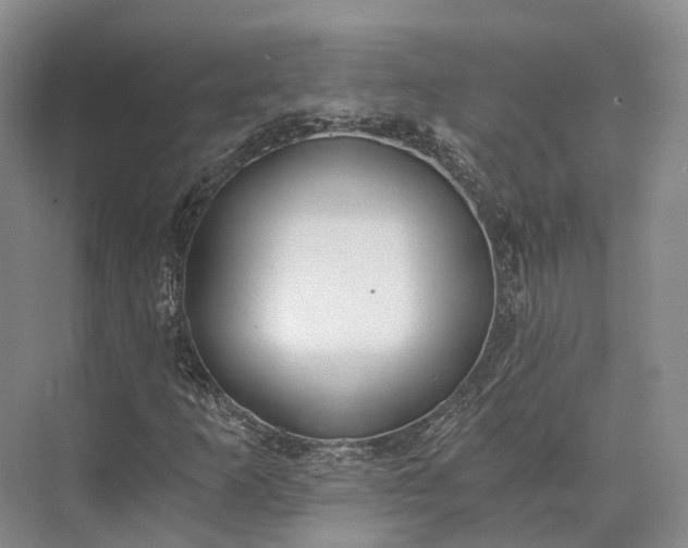 X0000072931253200608041207