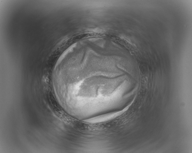 X0000072931254200608041207