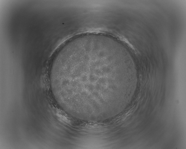 X0000072931256200608041207