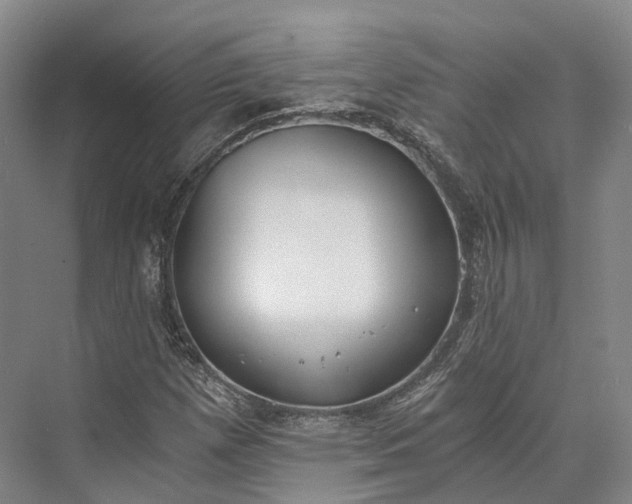 X0000072931257200608041207