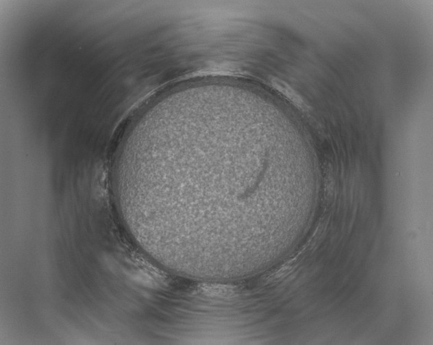 X0000072931258200608041207