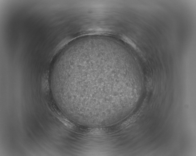 X0000072931259200608041207