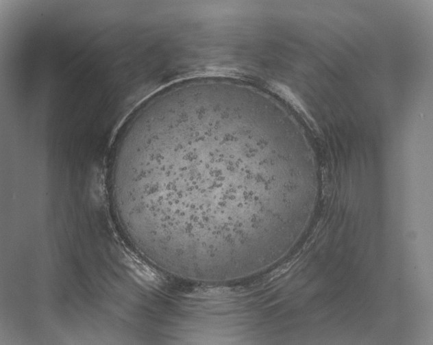 X0000072931260200608041207