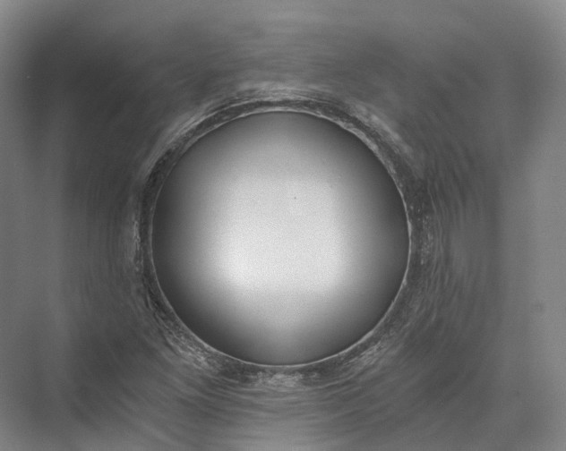 X0000072931261200608041207