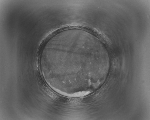 X0000072931262200608041207