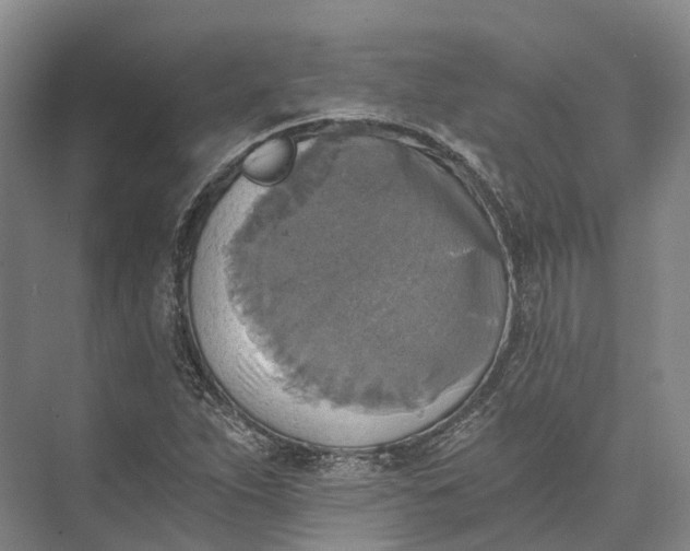 X0000072931263200608041207