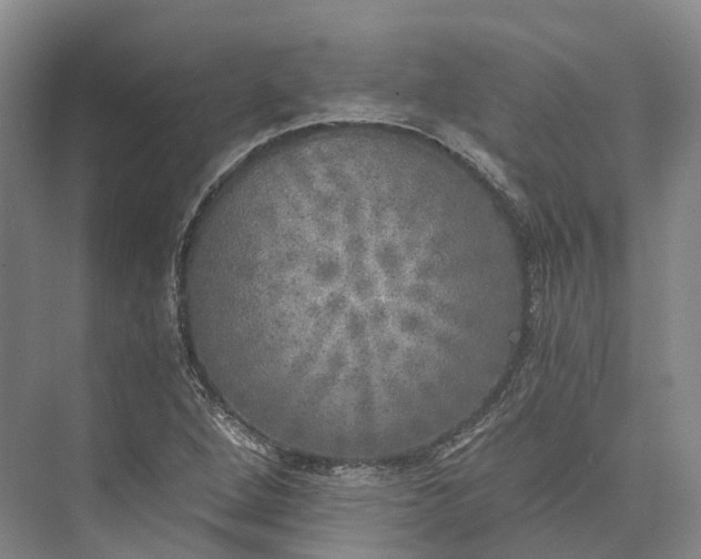 X0000072931264200608041207