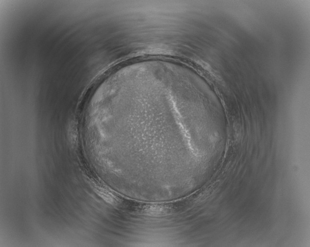 X0000072931266200608041207