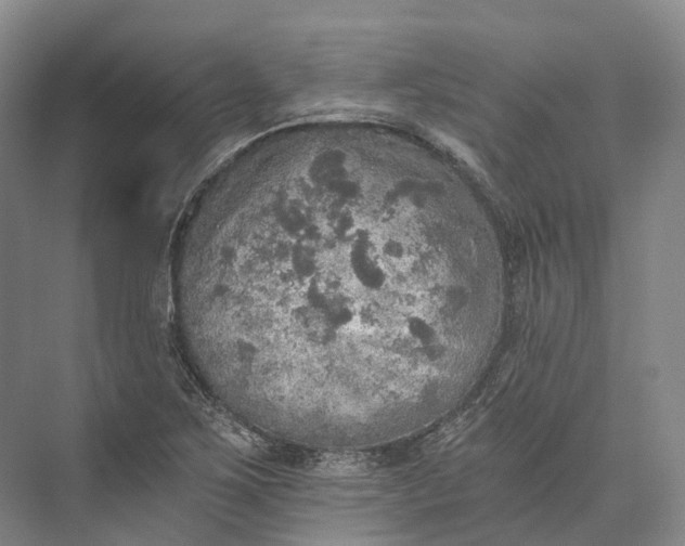 X0000072931267200608041207