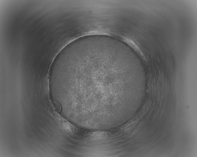 X0000072931268200608041207