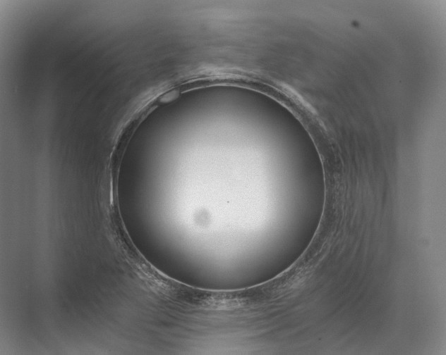 X0000072931269200608041206