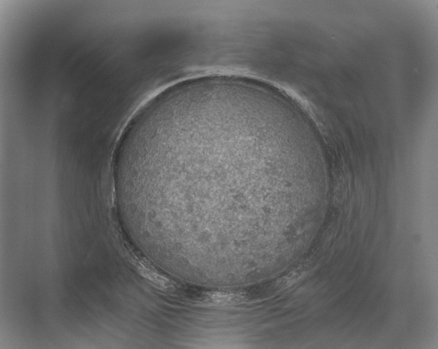 X0000072931271200608041206