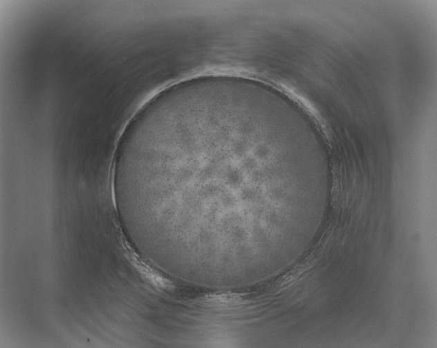 X0000072931272200608041206