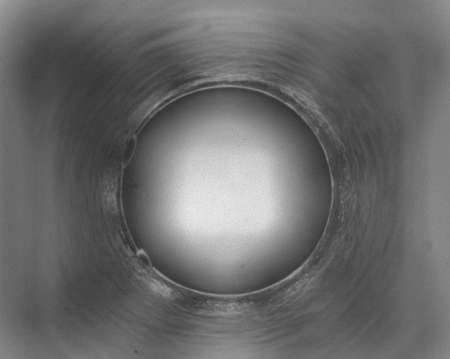 X0000072931273200608041206