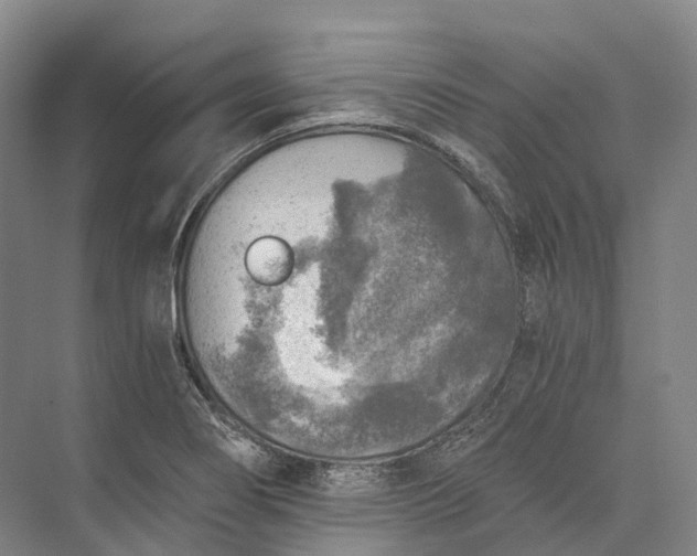 X0000072931274200608041206