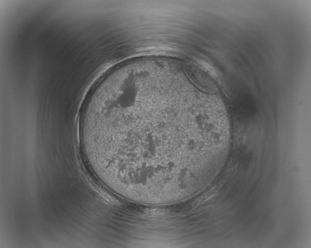 X0000072931275200608041206