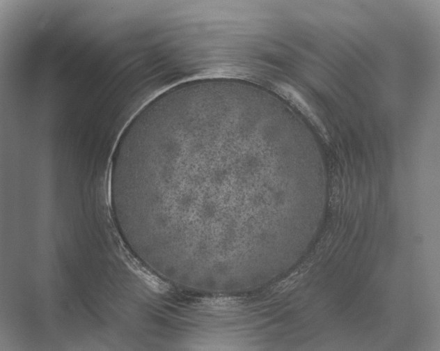 X0000072931276200608041206