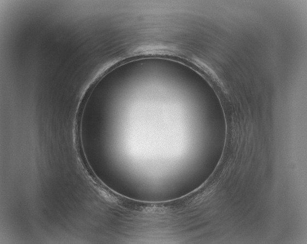 X0000072931277200608041206