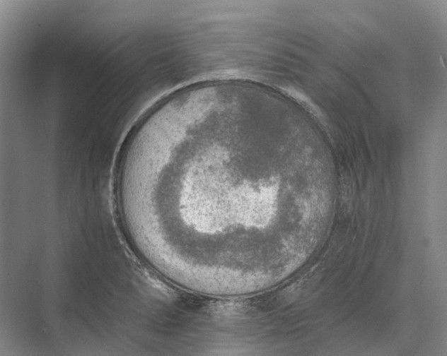 X0000072931278200608041206