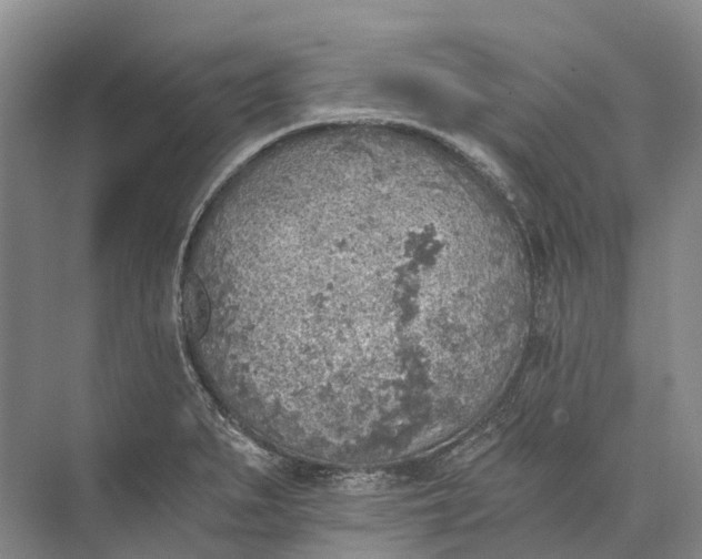 X0000072931279200608041206