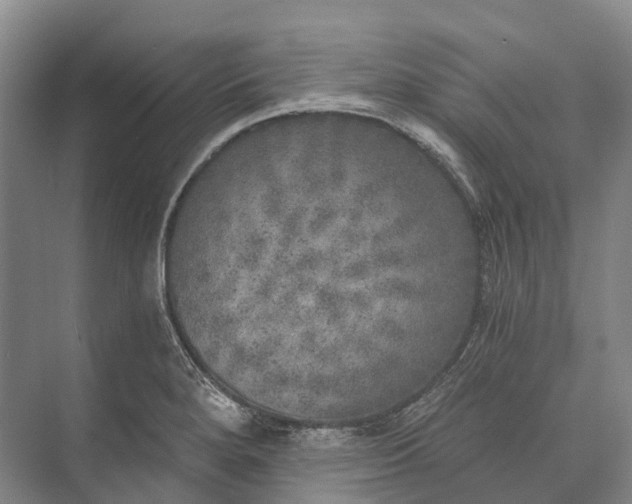 X0000072931280200608041206