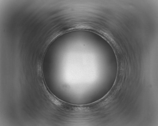 X0000072931281200608041206