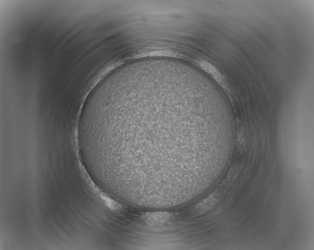 X0000072931282200608041206