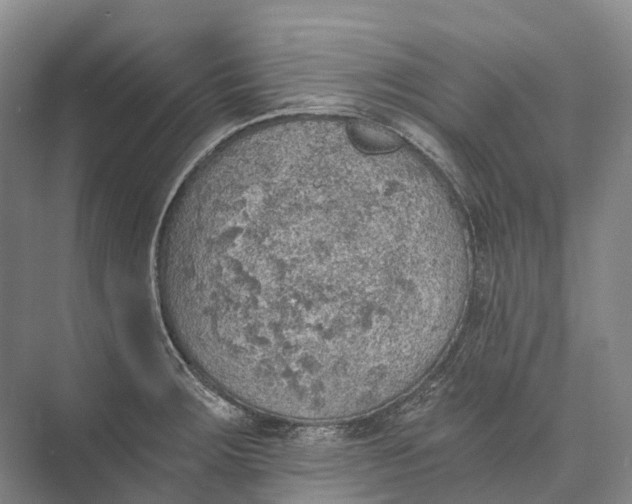 X0000072931283200608041206