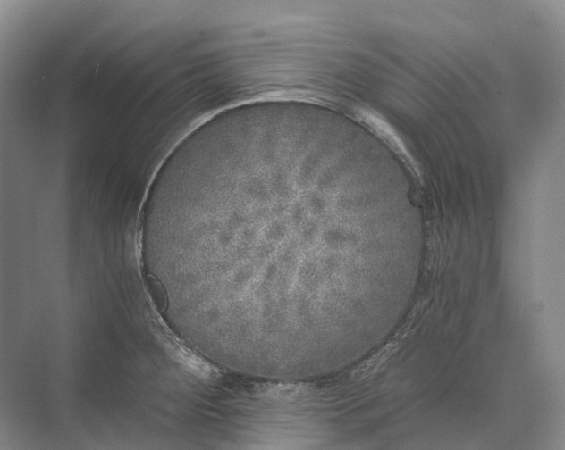 X0000072931284200608041206