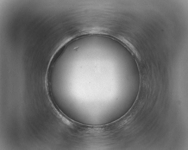 X0000072931285200608041206